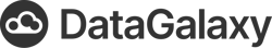 DataGalaxy